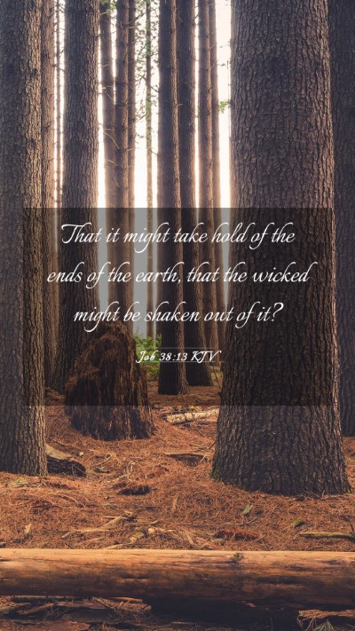 Picture 03 - Job 38:13 KJV Mobile Phone Wallpaper - That it might take hold of the ends of the earth, - Mobile Bible Verse Wallpaper