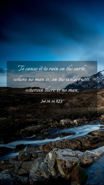 Picture 03 - Job 38:26 KJV Mobile Phone Wallpaper - To cause it to rain on the earth, where no man - Mobile Bible Verse Wallpaper