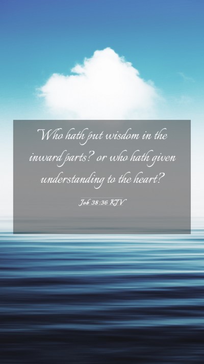 Picture 03 - Job 38:36 KJV Mobile Phone Wallpaper - Who hath put wisdom in the inward parts? or who - Mobile Bible Verse Wallpaper
