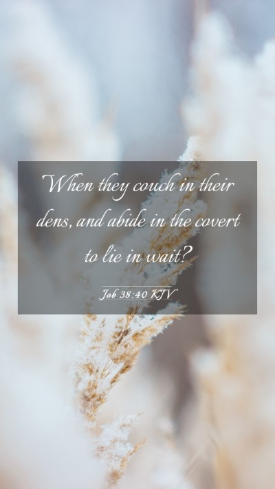 Picture 03 - Job 38:40 KJV Mobile Phone Wallpaper - When they couch in their dens, and abide in the - Mobile Bible Verse Wallpaper