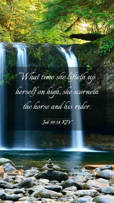Picture 03 - Job 39:18 KJV Mobile Phone Wallpaper - What time she lifteth up herself on high, she - Mobile Bible Verse Wallpaper