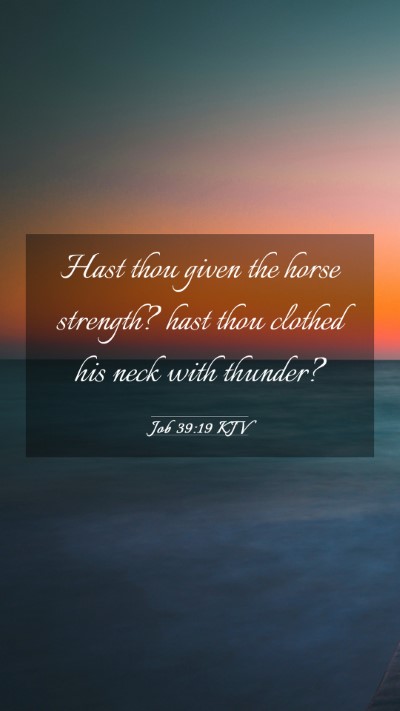 Picture 03 - Job 39:19 KJV Mobile Phone Wallpaper - Hast thou given the horse strength? hast thou - Mobile Bible Verse Wallpaper