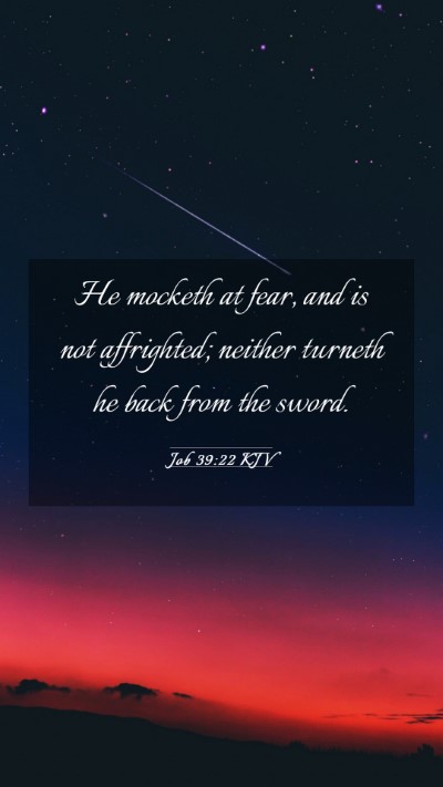 Picture 03 - Job 39:22 KJV Mobile Phone Wallpaper - He mocketh at fear, and is not affrighted; - Mobile Bible Verse Wallpaper