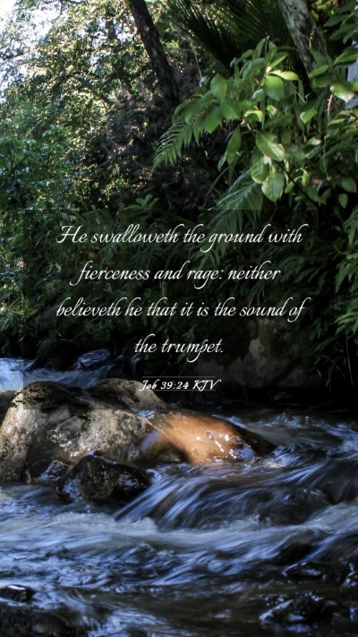 Picture 03 - Job 39:24 KJV Mobile Phone Wallpaper - He swalloweth the ground with fierceness and - Mobile Bible Verse Wallpaper