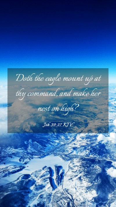 Picture 03 - Job 39:27 KJV Mobile Phone Wallpaper - Doth the eagle mount up at thy command, and make - Mobile Bible Verse Wallpaper