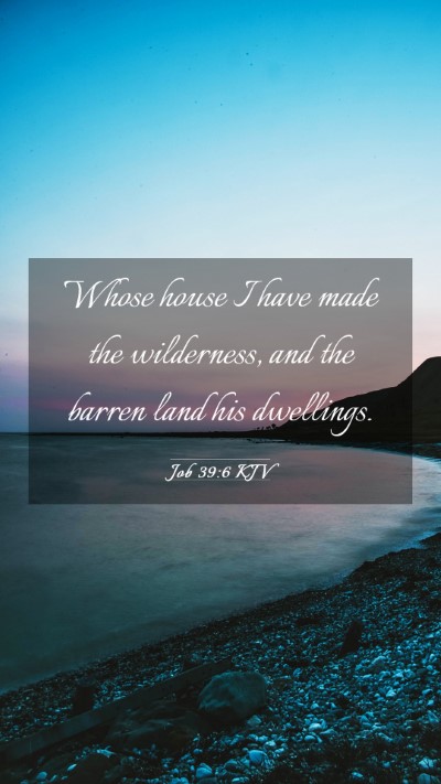Picture 03 - Job 39:6 KJV Mobile Phone Wallpaper - Whose house I have made the wilderness, and the - Mobile Bible Verse Wallpaper