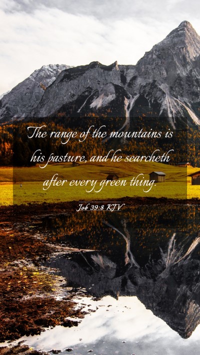 Picture 03 - Job 39:8 KJV Mobile Phone Wallpaper - The range of the mountains is his pasture, and he - Mobile Bible Verse Wallpaper
