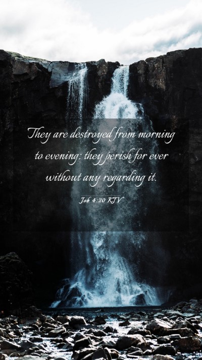 Picture 03 - Job 4:20 KJV Mobile Phone Wallpaper - They are destroyed from morning to evening: they - Mobile Bible Verse Wallpaper