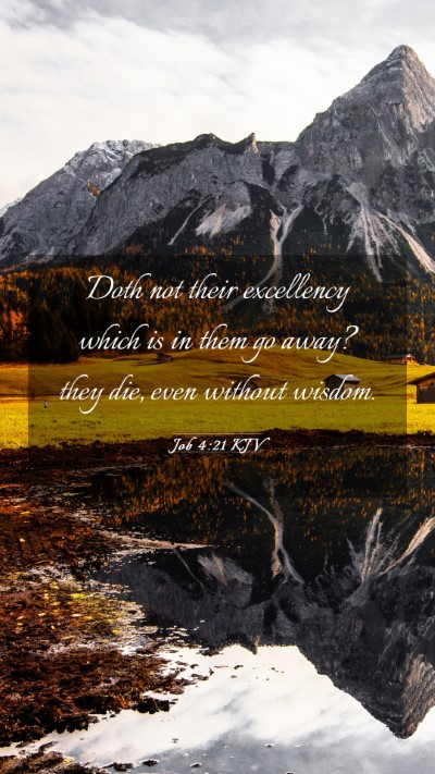 Picture 03 - Job 4:21 KJV Mobile Phone Wallpaper - Doth not their excellency which is in them go - Mobile Bible Verse Wallpaper