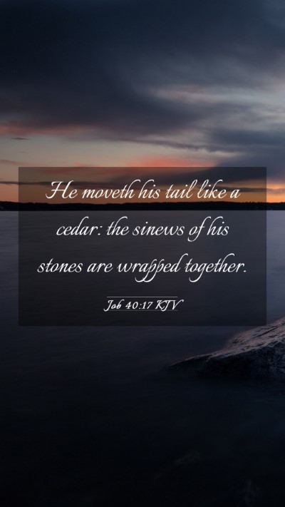 Picture 03 - Job 40:17 KJV Mobile Phone Wallpaper - He moveth his tail like a cedar: the sinews of - Mobile Bible Verse Wallpaper