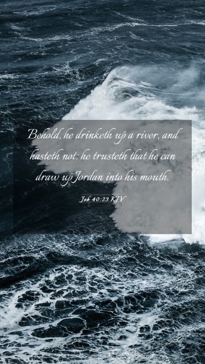 Picture 03 - Job 40:23 KJV Mobile Phone Wallpaper - Behold, he drinketh up a river, and hasteth not: - Mobile Bible Verse Wallpaper
