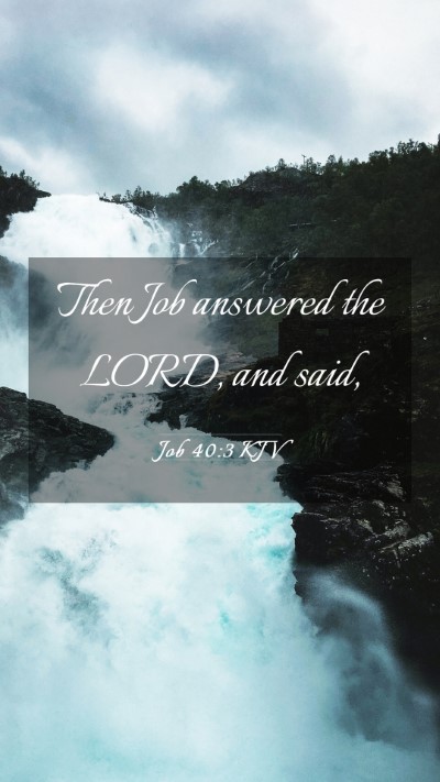 Picture 03 - Job 40:3 KJV Mobile Phone Wallpaper - Then Job answered the LORD, and - Mobile Bible Verse Wallpaper