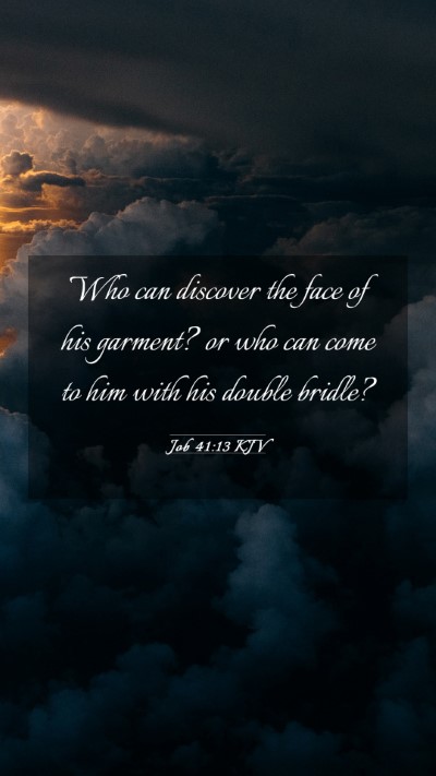 Picture 03 - Job 41:13 KJV Mobile Phone Wallpaper - Who can discover the face of his garment? or who - Mobile Bible Verse Wallpaper