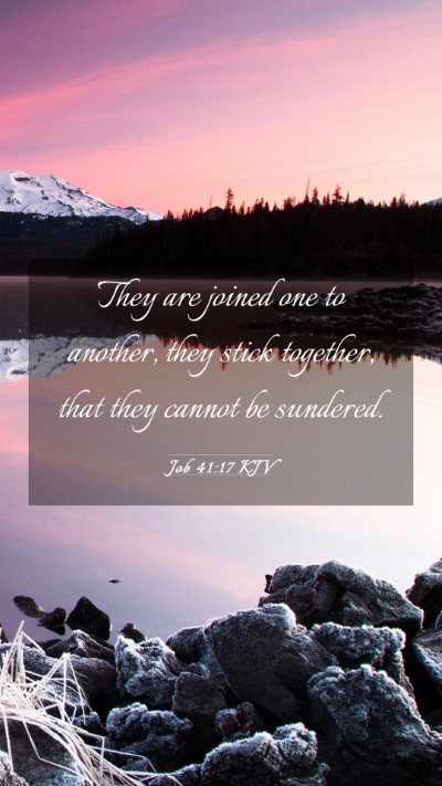 Picture 03 - Job 41:17 KJV Mobile Phone Wallpaper - They are joined one to another, they stick - Mobile Bible Verse Wallpaper