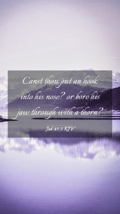 Picture 03 - Job 41:2 KJV Mobile Phone Wallpaper - Canst thou put an hook into his nose? or bore his - Mobile Bible Verse Wallpaper