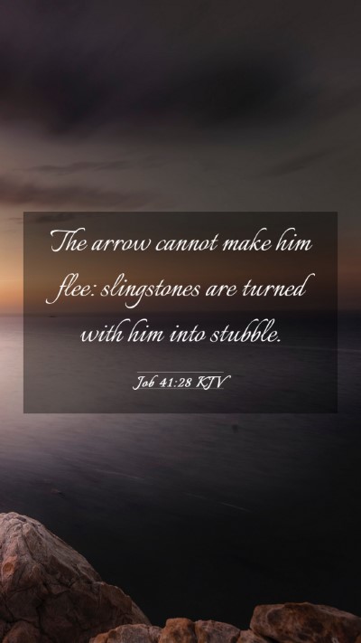 Picture 03 - Job 41:28 KJV Mobile Phone Wallpaper - The arrow cannot make him flee: slingstones are - Mobile Bible Verse Wallpaper