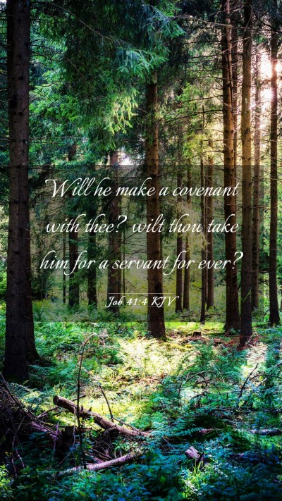 Picture 03 - Job 41:4 KJV Mobile Phone Wallpaper - Will he make a covenant with thee? wilt thou take - Mobile Bible Verse Wallpaper