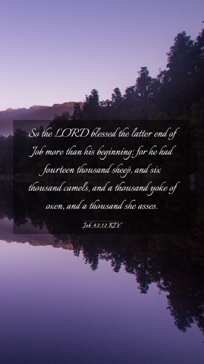 Picture 03 - Job 42:12 KJV Mobile Phone Wallpaper - So the LORD blessed the latter end of Job more - Mobile Bible Verse Wallpaper