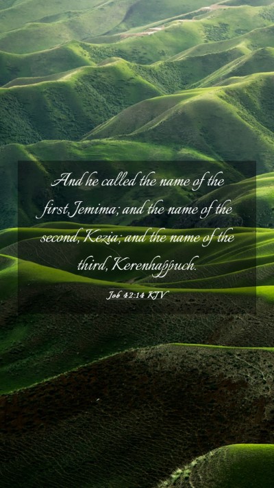 Picture 03 - Job 42:14 KJV Mobile Phone Wallpaper - And he called the name of the first, Jemima; and - Mobile Bible Verse Wallpaper