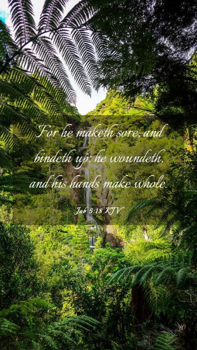 Picture 03 - Job 5:18 KJV Mobile Phone Wallpaper - For he maketh sore, and bindeth up: he woundeth, - Mobile Bible Verse Wallpaper