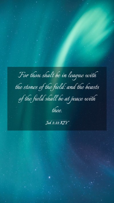 Picture 03 - Job 5:23 KJV Mobile Phone Wallpaper - For thou shalt be in league with the stones of - Mobile Bible Verse Wallpaper