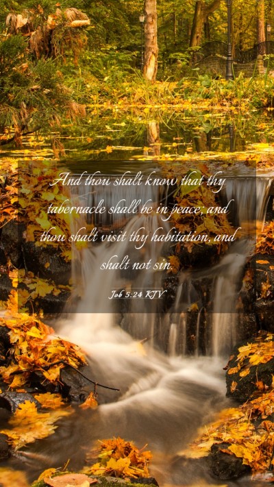 Picture 03 - Job 5:24 KJV Mobile Phone Wallpaper - And thou shalt know that thy tabernacle shall be - Mobile Bible Verse Wallpaper