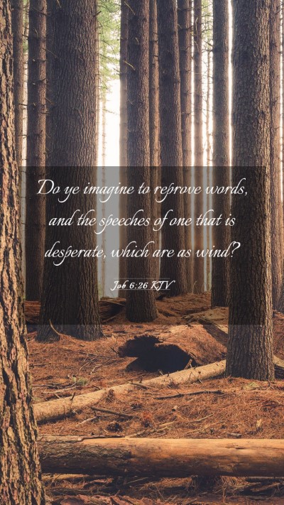 Picture 03 - Job 6:26 KJV Mobile Phone Wallpaper - Do ye imagine to reprove words, and the speeches - Mobile Bible Verse Wallpaper