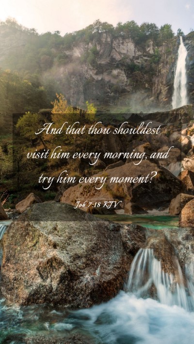 Picture 03 - Job 7:18 KJV Mobile Phone Wallpaper - And that thou shouldest visit him every morning, - Mobile Bible Verse Wallpaper