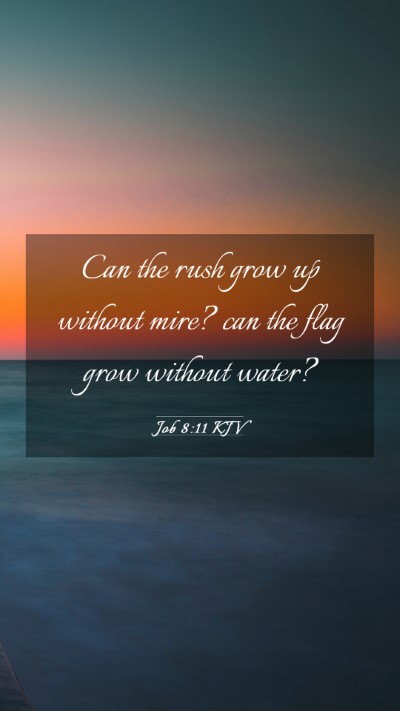 Picture 03 - Job 8:11 KJV Mobile Phone Wallpaper - Can the rush grow up without mire? can the flag - Mobile Bible Verse Wallpaper