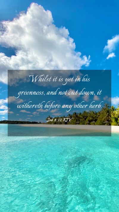 Picture 03 - Job 8:12 KJV Mobile Phone Wallpaper - Whilst it is yet in his greenness, and not cut - Mobile Bible Verse Wallpaper