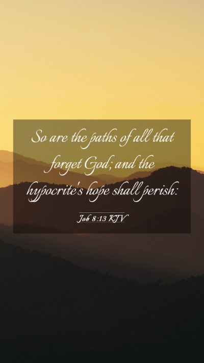 Picture 03 - Job 8:13 KJV Mobile Phone Wallpaper - So are the paths of all that forget God; and the - Mobile Bible Verse Wallpaper