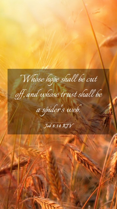 Picture 03 - Job 8:14 KJV Mobile Phone Wallpaper - Whose hope shall be cut off, and whose trust - Mobile Bible Verse Wallpaper