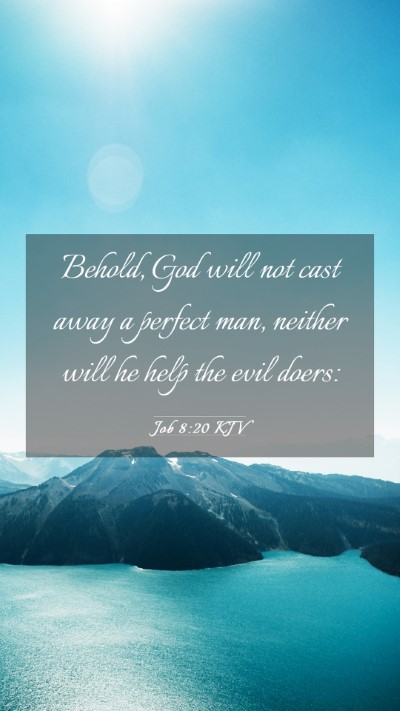 Picture 03 - Job 8:20 KJV Mobile Phone Wallpaper - Behold, God will not cast away a perfect man, - Mobile Bible Verse Wallpaper
