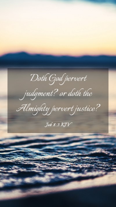 Picture 03 - Job 8:3 KJV Mobile Phone Wallpaper - Doth God pervert judgment? or doth the Almighty - Mobile Bible Verse Wallpaper