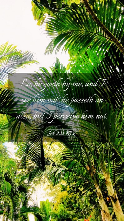 Picture 03 - Job 9:11 KJV Mobile Phone Wallpaper - Lo, he goeth by me, and I see him not: he passeth - Mobile Bible Verse Wallpaper