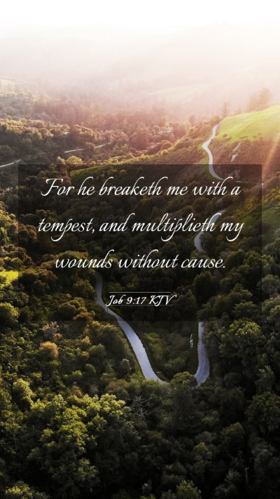 Picture 03 - Job 9:17 KJV Mobile Phone Wallpaper - For he breaketh me with a tempest, and - Mobile Bible Verse Wallpaper