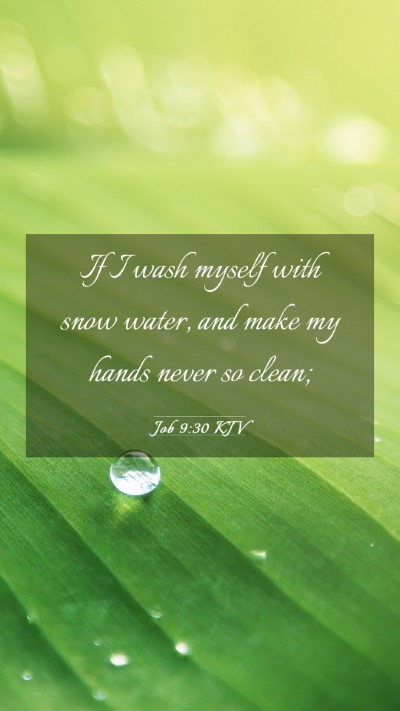 Picture 03 - Job 9:30 KJV Mobile Phone Wallpaper - If I wash myself with snow water, and make my - Mobile Bible Verse Wallpaper