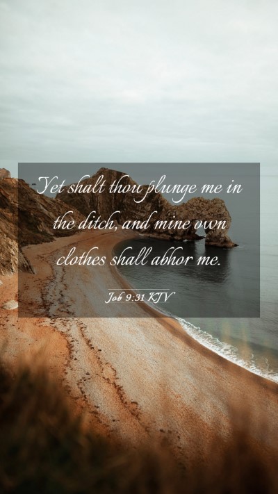 Picture 03 - Job 9:31 KJV Mobile Phone Wallpaper - Yet shalt thou plunge me in the ditch, and mine - Mobile Bible Verse Wallpaper