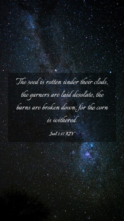 Picture 03 - Joel 1:17 KJV Mobile Phone Wallpaper - The seed is rotten under their clods, the garners - Mobile Bible Verse Wallpaper