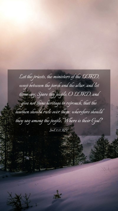 Picture 03 - Joel 2:17 KJV Mobile Phone Wallpaper - Let the priests, the ministers of the LORD, weep - Mobile Bible Verse Wallpaper