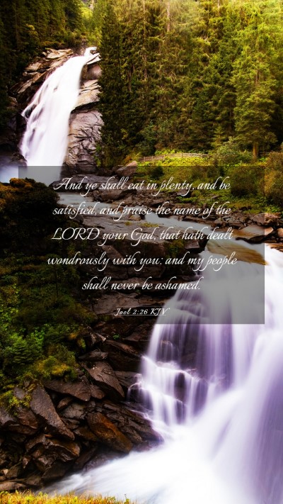 Picture 03 - Joel 2:26 KJV Mobile Phone Wallpaper - And ye shall eat in plenty, and be satisfied, and - Mobile Bible Verse Wallpaper