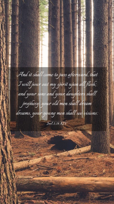 Picture 03 - Joel 2:28 KJV Mobile Phone Wallpaper - And it shall come to pass afterward, that I will - Mobile Bible Verse Wallpaper
