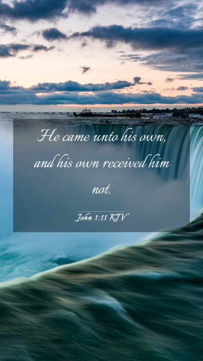 Picture 03 - John 1:11 KJV Mobile Phone Wallpaper - He came unto his own, and his own received him - Mobile Bible Verse Wallpaper