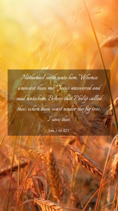 Picture 03 - John 1:48 KJV Mobile Phone Wallpaper - Nathanael saith unto him, Whence knowest thou me? - Mobile Bible Verse Wallpaper
