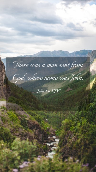 Picture 03 - John 1:6 KJV Mobile Phone Wallpaper - There was a man sent from God, whose name was - Mobile Bible Verse Wallpaper