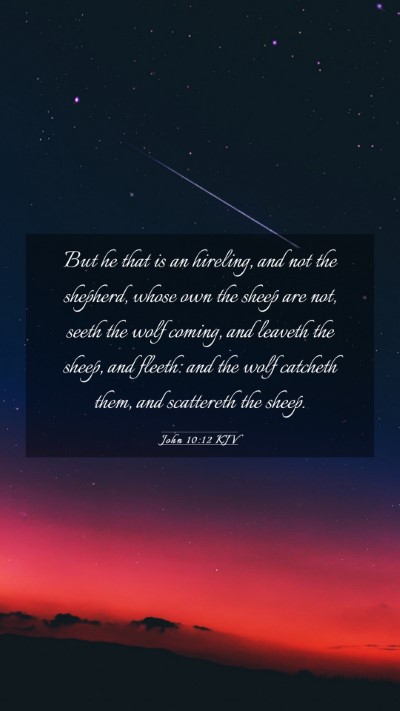 Picture 03 - John 10:12 KJV Mobile Phone Wallpaper - But he that is an hireling, and not the shepherd, - Mobile Bible Verse Wallpaper