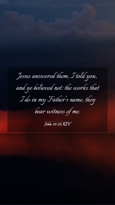 Picture 03 - John 10:25 KJV Mobile Phone Wallpaper - Jesus answered them, I told you, and ye believed - Mobile Bible Verse Wallpaper