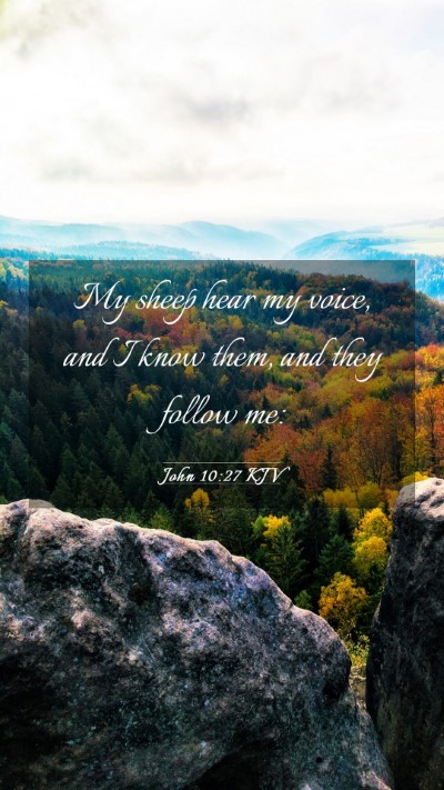 Picture 03 - John 10:27 KJV Mobile Phone Wallpaper - My sheep hear my voice, and I know them, and they - Mobile Bible Verse Wallpaper
