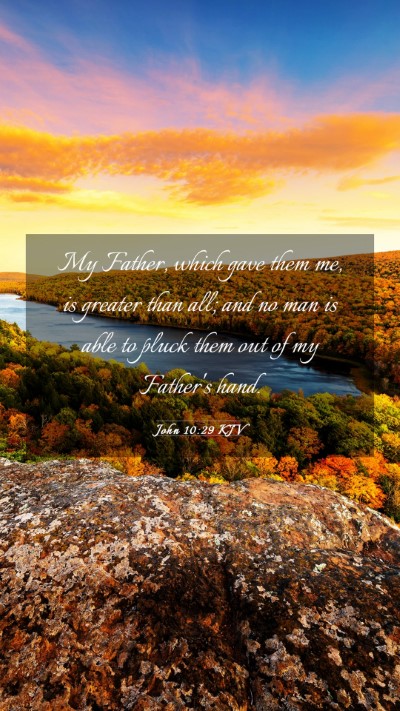 Picture 03 - John 10:29 KJV Mobile Phone Wallpaper - My Father, which gave them me, is greater than - Mobile Bible Verse Wallpaper
