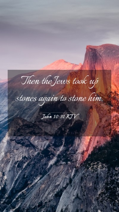 Picture 03 - John 10:31 KJV Mobile Phone Wallpaper - Then the Jews took up stones again to stone - Mobile Bible Verse Wallpaper